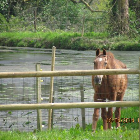 Condé-sur-Seulles ロランジェリー ドゥ グラン ジャルダンヴィラ エクステリア 写真